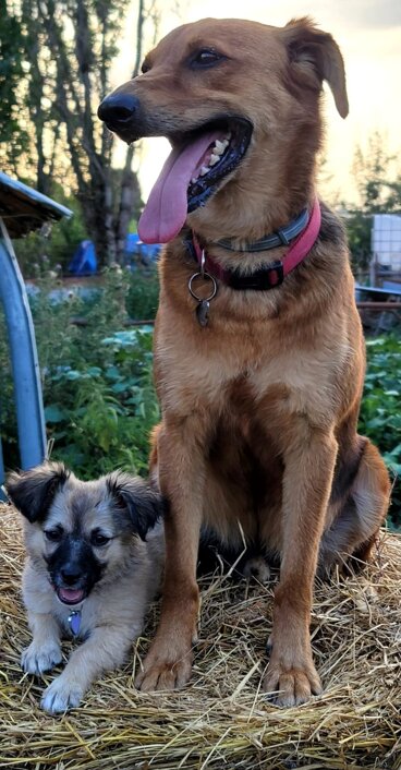 72322842-422c-4fca-9d18-dbbdd221e4c7