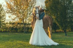 456ef797-e89b-47d9-ab10-bcf4f374c8a3