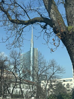 img_8032.jpeg