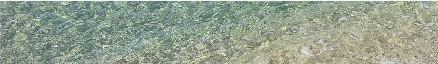 de1de2b2-8584-4dab-b8fe-04082753e17b de1de2b2-8584-4dab-b8fe-04082753e17b