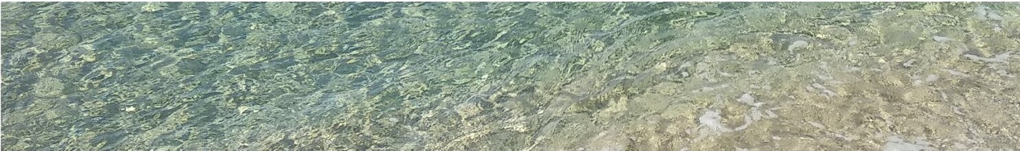 de1de2b2-8584-4dab-b8fe-04082753e17b de1de2b2-8584-4dab-b8fe-04082753e17b