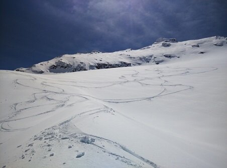 de88e94a-5129-400b-b7e1-da53ea192ae1