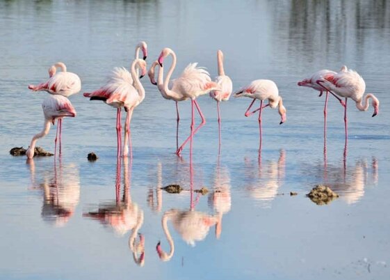 fd4b165d-67d9-4a8d-80b0-a36f08b01bdf fd4b165d-67d9-4a8d-80b0-a36f08b01bdf