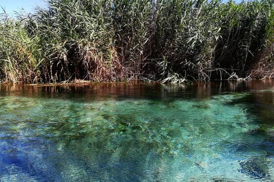 5fda47c3-df1a-4fc8-a48c-81b0e24b8a63 5fda47c3-df1a-4fc8-a48c-81b0e24b8a63