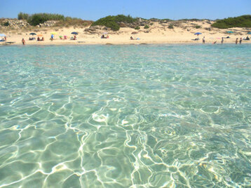 6220db21-12ff-4f10-a1a5-aca6a0b876a1 6220db21-12ff-4f10-a1a5-aca6a0b876a1