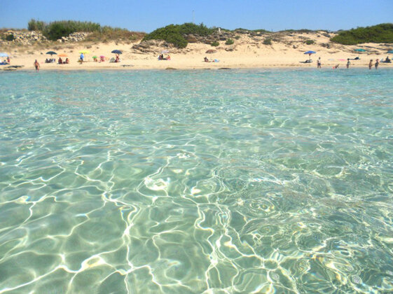 94d7bb6f-a1aa-44ba-bcb0-e8219b08b76d 94d7bb6f-a1aa-44ba-bcb0-e8219b08b76d