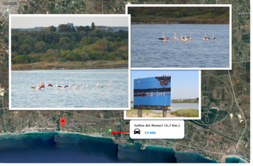 8564a853-0d32-4307-9ba0-da9cbfa88ef8 8564a853-0d32-4307-9ba0-da9cbfa88ef8