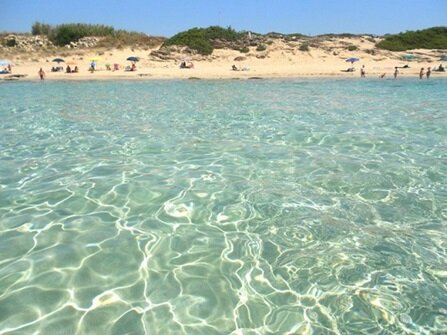 93a3dcf1-d319-4f88-b645-63dc3f35a447