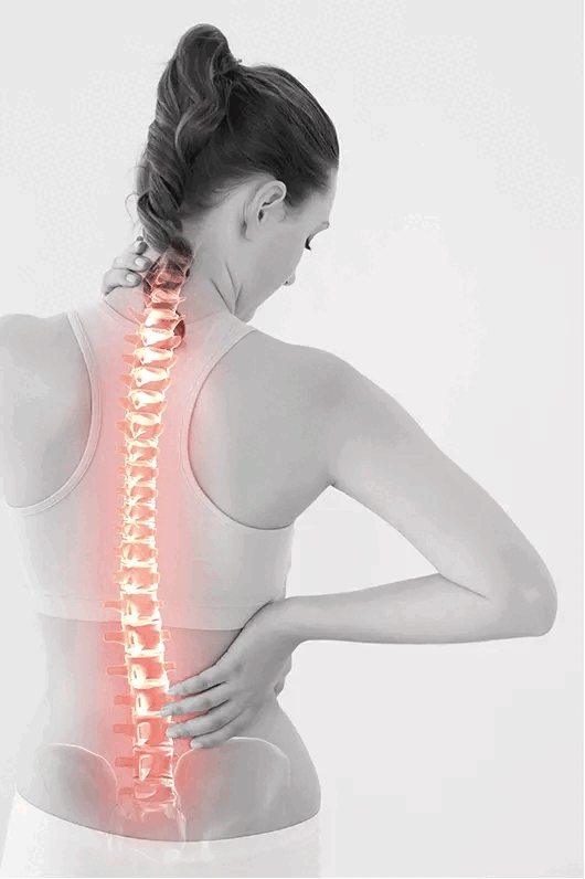 d51e64e0-5ffd-493c-8fe7-8195b17027b2