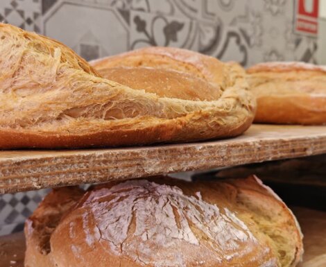 photo-2025-11-24-13-23-44.jpeg photo-2025-11-24-13-23-44.jpeg