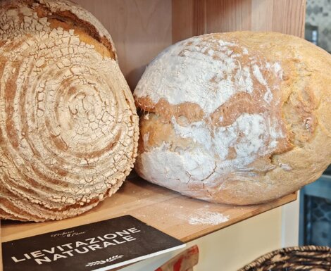 photo-2025-11-24-13-23-40%202.jpeg photo-2025-11-24-13-23-40%202.jpeg