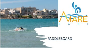 e3631293-6554-4500-9d7b-9ebb30cb8d27