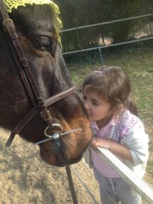 fotovolantino3 fotovolantino3