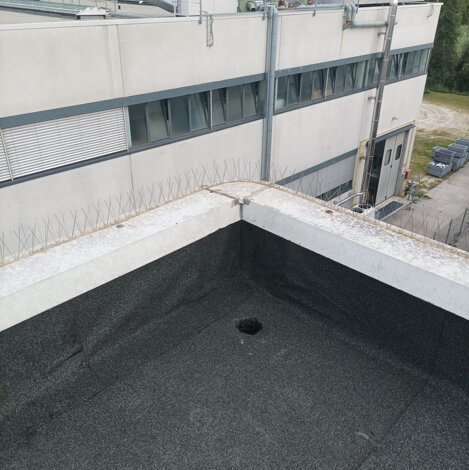 Dettaglio bordi dopo intervento