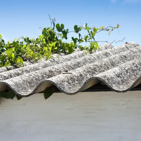 Dettaglio copertura Eternit