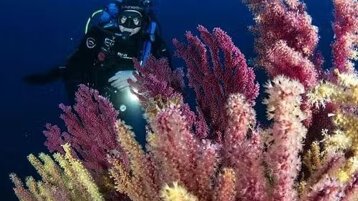 b5f63baa-5fa5-4acd-8ed6-de074fbbf4e8