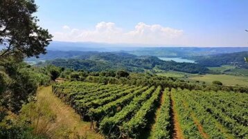 1bcdcd0b-112b-4646-ad38-63c8f093f391