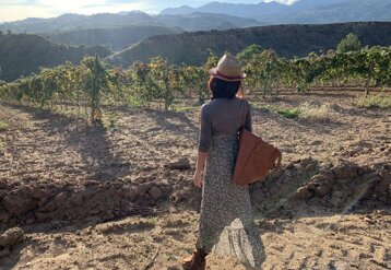 2e49e5a2-2df8-4de0-a52f-ef797c850988