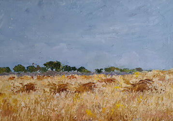 ae1e316c-d4b1-44da-ad6d-648198685167