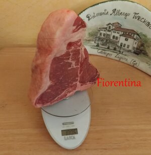 Fiorentina di Chianina