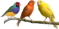 a56249bb-a4c7-4d88-8137-74a3e9b452c7