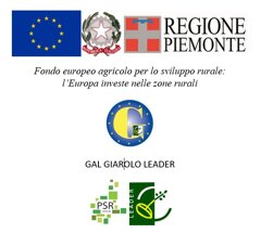 d9c9184c-2445-4372-ab8d-5480d0f7a5d2