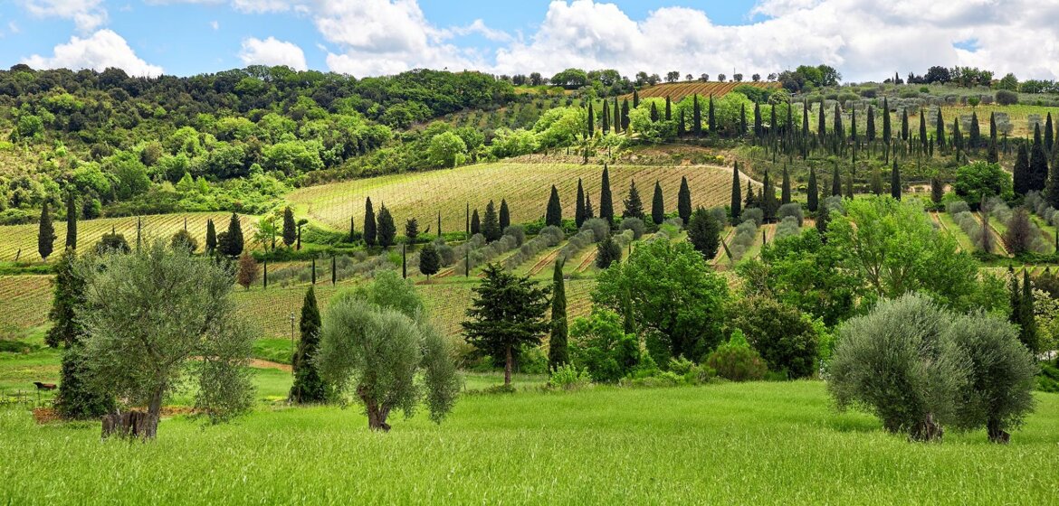 Val D'orcia,wine and food tour, luxury holidays in italy, Italian luxury travel designer Val D'orcia,wine and food tour, luxury holidays in italy, Italian luxury travel designer