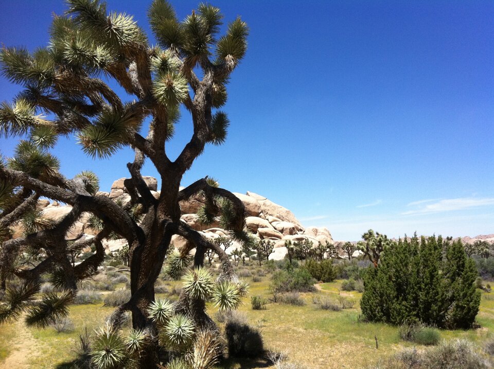 6261d7dd-dc06-4c72-b16e-f6d5e2cde058 6261d7dd-dc06-4c72-b16e-f6d5e2cde058