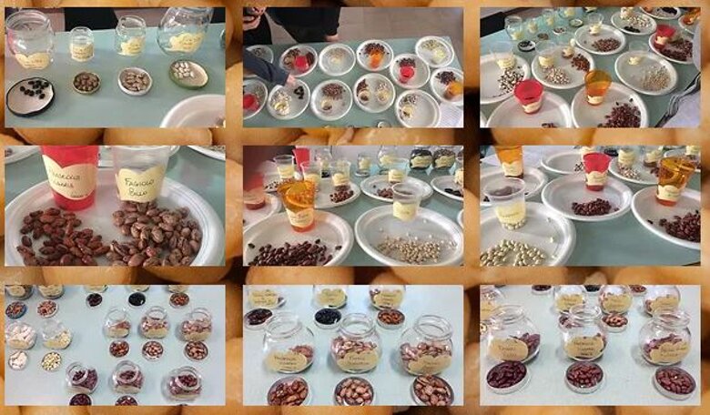 695ac1fd-7e65-499f-b4a8-9dbbc6af3f16