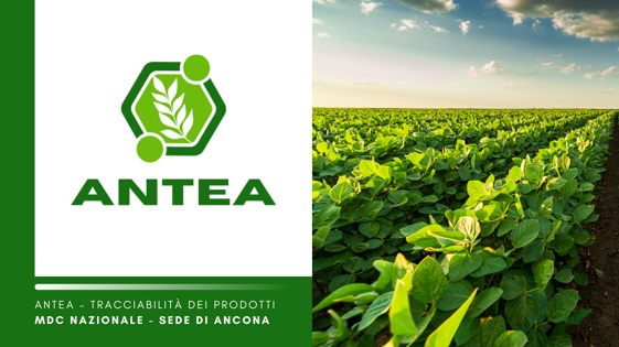 70050bfb-ed05-416b-a28a-601d6eb39bc9