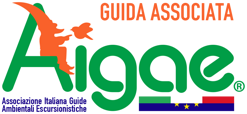 aigae_logo_guida_associata-versione_a aigae_logo_guida_associata-versione_a