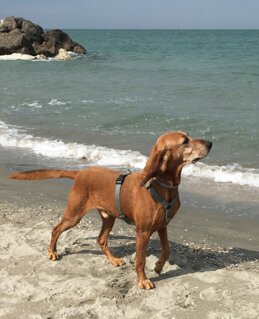 c5912dc4-9167-454c-a36b-09412d704857 c5912dc4-9167-454c-a36b-09412d704857