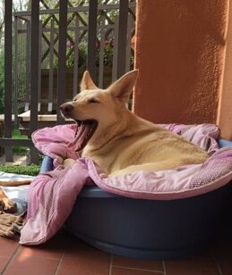 df573274-2c2f-4785-9eef-4778e1ddbbb4 df573274-2c2f-4785-9eef-4778e1ddbbb4