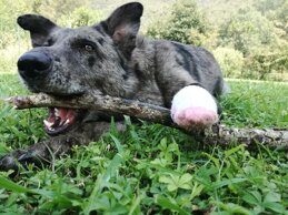 d094d609-30b9-4f27-b1ff-d6cc7f52a896 d094d609-30b9-4f27-b1ff-d6cc7f52a896