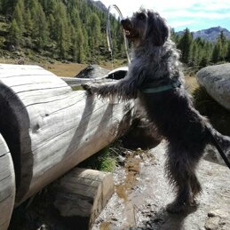 8fc82b7f-bcea-4bb0-bcdd-d05532ec57d0 8fc82b7f-bcea-4bb0-bcdd-d05532ec57d0