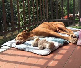 ed9528d0-852f-4964-9cc8-f42ad651b9ff ed9528d0-852f-4964-9cc8-f42ad651b9ff