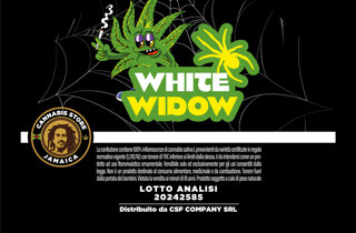 cannabis store logo 2