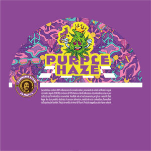 purple-haze
