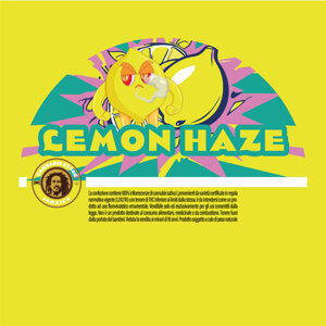 lemon-haze