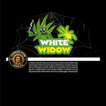 white-widow