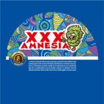 amnesia