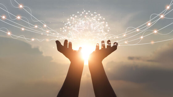 0f14e24d-f24f-4c5e-abd8-a80fdae4afa9.jpeg 0f14e24d-f24f-4c5e-abd8-a80fdae4afa9.jpeg