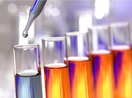 immagine whatsapp 2025-10-05 ore 15.46.11_dce6b8ce.jpeg immagine whatsapp 2025-10-05 ore 15.46.11_dce6b8ce.jpeg