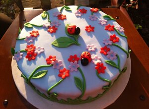 img_2402.jpeg img_2402.jpeg