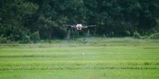 8a531b13-d99d-4649-a190-fce2fdf0d2b7.jpeg 8a531b13-d99d-4649-a190-fce2fdf0d2b7.jpeg