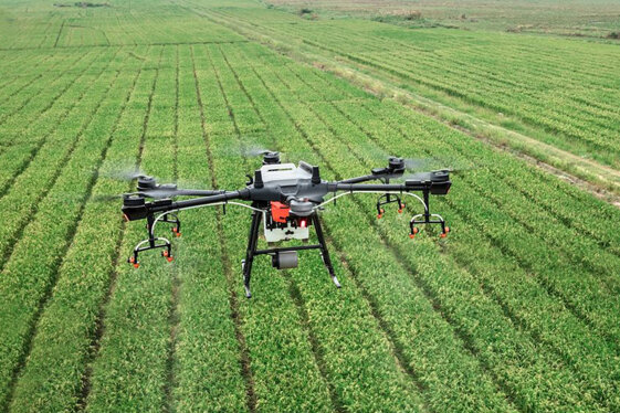 034dee4b-1c15-4058-83e8-b2ed48f218c5.jpeg 034dee4b-1c15-4058-83e8-b2ed48f218c5.jpeg