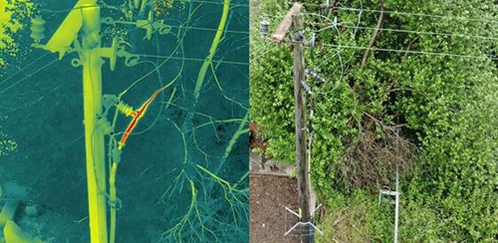 c392d2bd-b701-43ed-b1c0-b47d893f47ad.jpeg c392d2bd-b701-43ed-b1c0-b47d893f47ad.jpeg