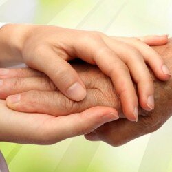 0181e00b-46cd-4130-83fb-a4b865d9695b 0181e00b-46cd-4130-83fb-a4b865d9695b