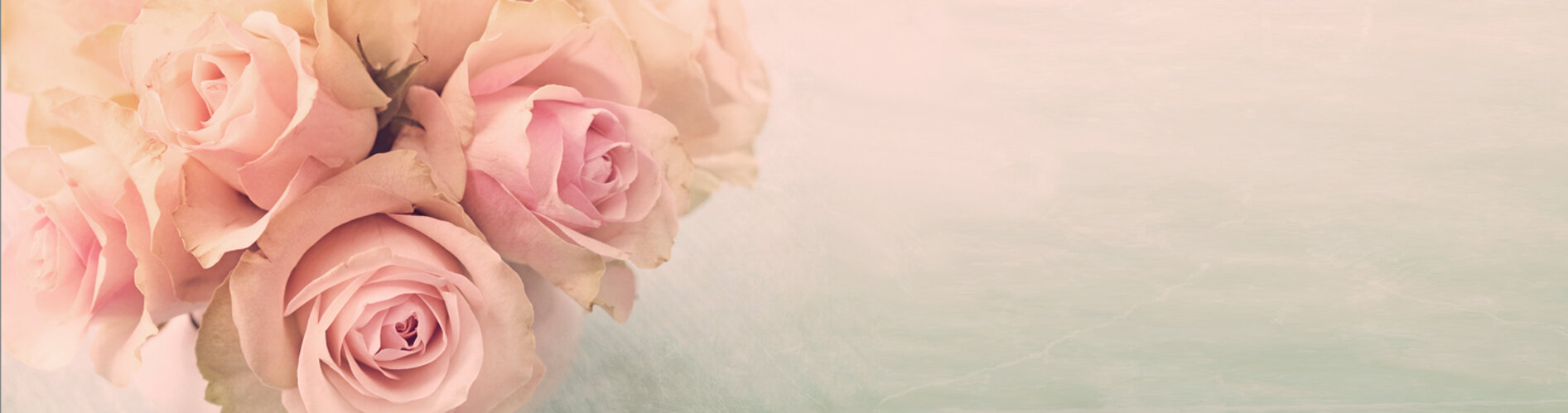 feature-bg feature-bg