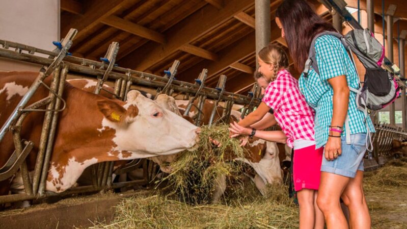 8e484f9c-18b5-44b0-935c-79af3ad345c1